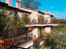 Italy-Tuscany-Relaxed Tuscan Ride in Maremma
